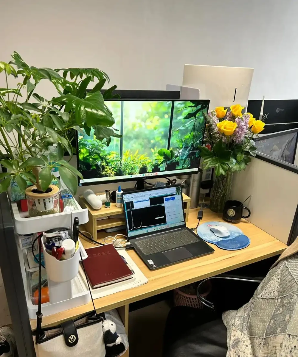 男子近日被裁員,清理工位上的花,大大小小一拖車,網友:工位當家的代價