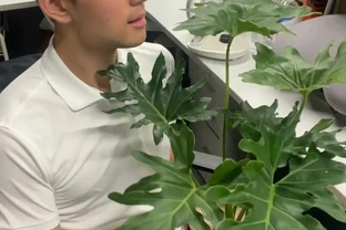 男子近日被裁員，清理工位上的花，大大小小一拖車，網友：工位當家的代價