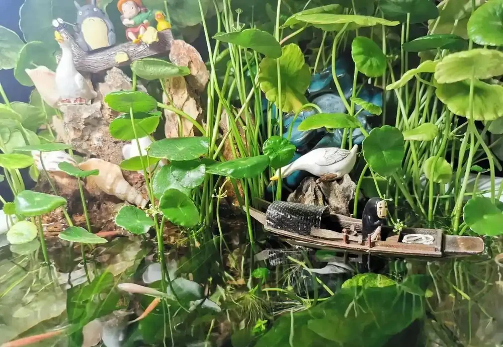 用魚缸養「銅錢草」,美得不像樣,網友:小小銅錢草,太驚豔了!