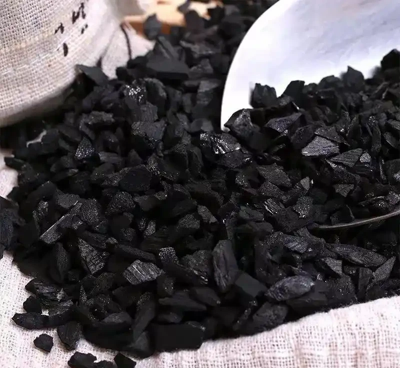秋季換盆別瞎搞!往盆底塞這6樣東西,根系壯得像鋼筋,養啥都滿盆!