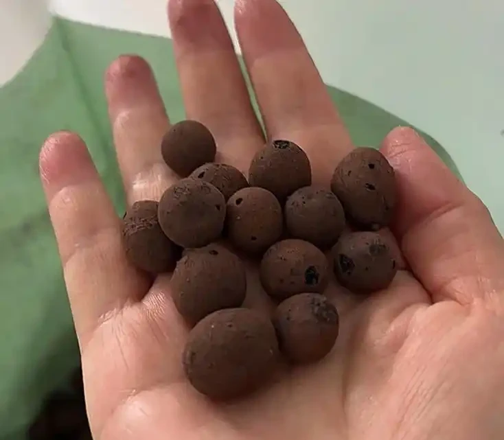 發泡煉石能種花嗎？老花農曝 5 大用法，透氣不腐根，新手也能種活