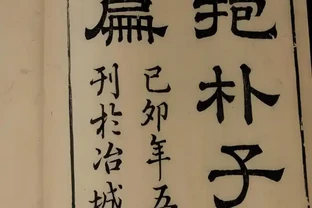 黃金葛真能聚財氣？風水大師：家中養三盆黃金葛，不想富貴富貴自然來