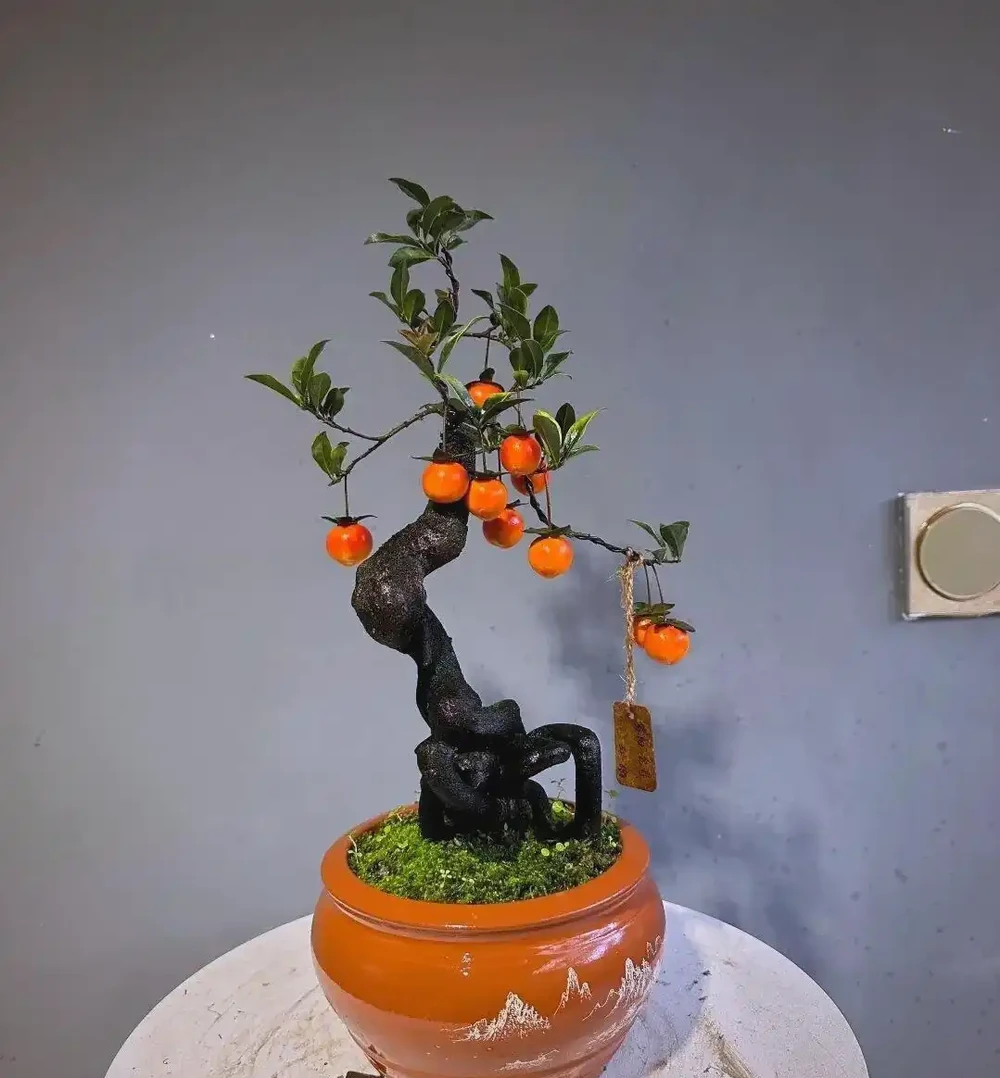金彈子盆景的魅力與養護指南