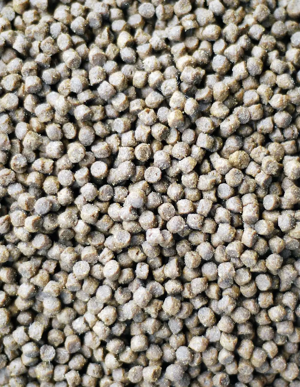 促開花用什麼肥料
