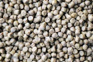 促開花用什麼肥料