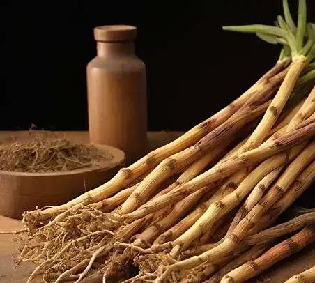 鵝掌藤插枝全攻略!新手必看詳細步驟與技巧,親測有效