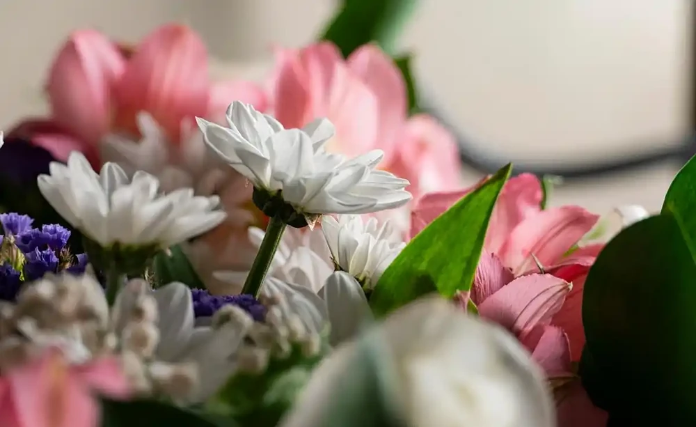 花離開水能活幾小時