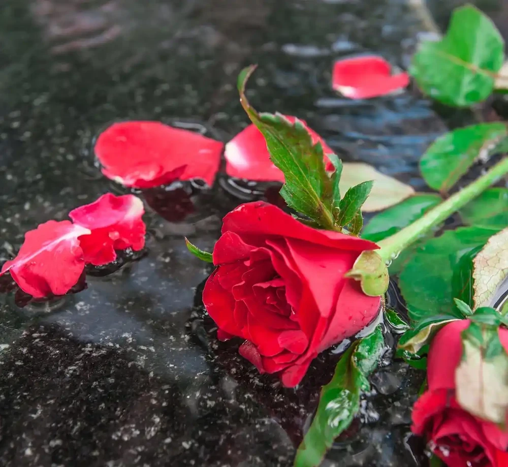 玫瑰花放在水裡可以活多久