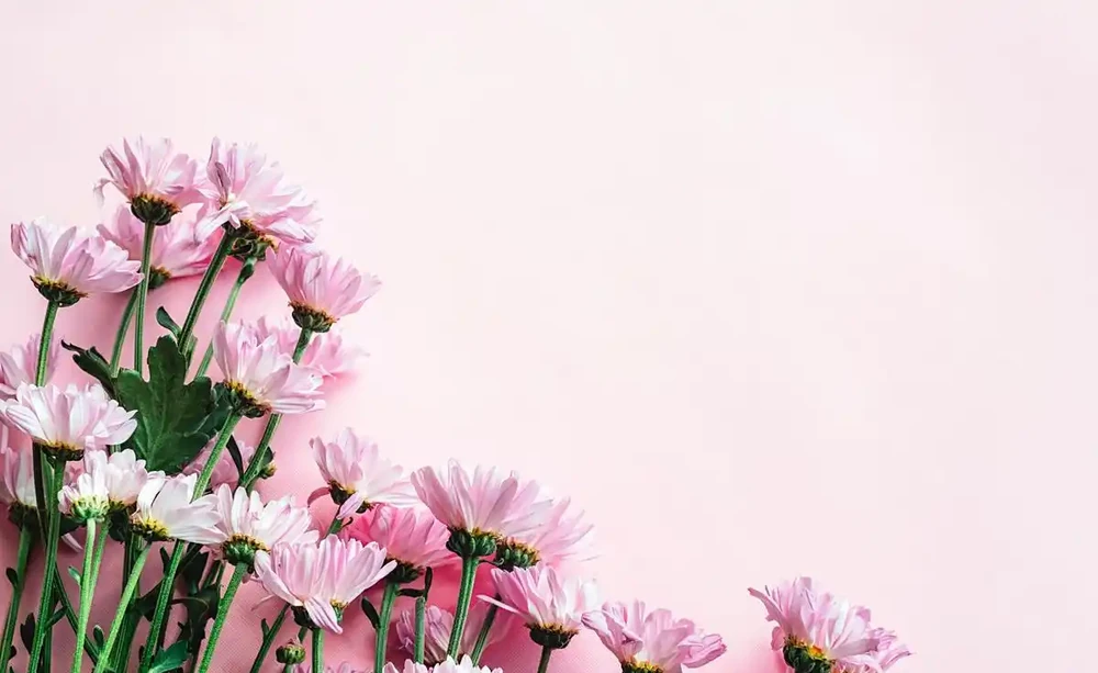 花離開水能活幾小時
