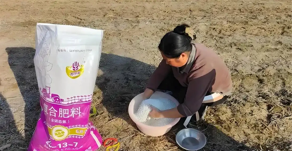 圖片來源於網路