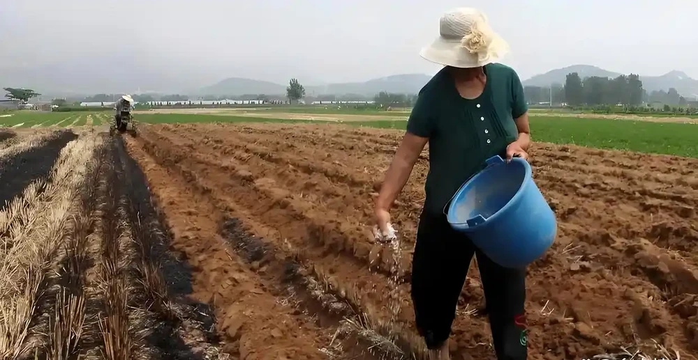 圖片來源於網路