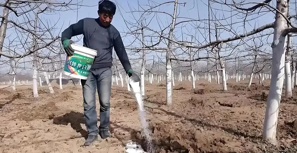 圖片來源於網路