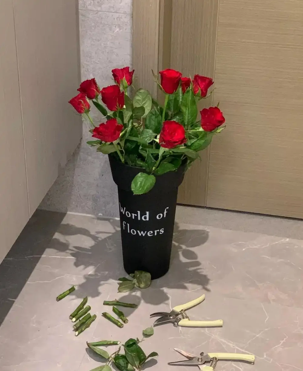 女子曬「遺忘的玫瑰花」,一年後竟長根了,網友:誓死不住花盆?