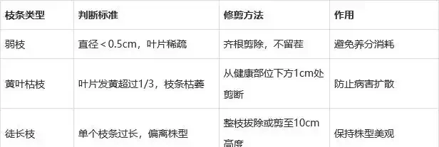 雪鐵芋怎麼修剪?牢記4個原則,新枝更多更壯!