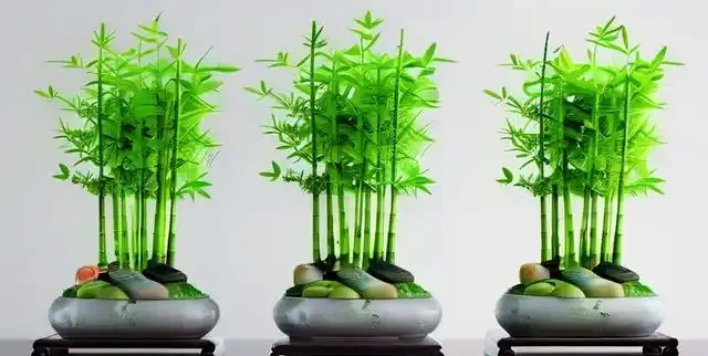 竹子葉子發黃怎麼辦?老花農教你三個急救小妙招