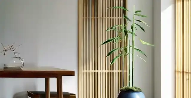 萬年竹莖杆發軟怎麼救 緊急處理辦法要記牢