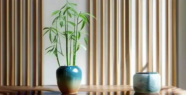 萬年竹莖杆發軟怎麼救 緊急處理辦法要記牢