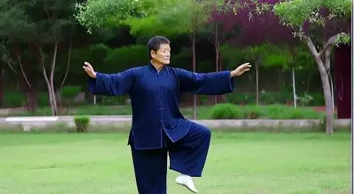 揭秘金鑽綠植的功效與作用背後的真相