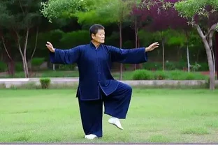 揭秘金鑽綠植的功效與作用背後的真相