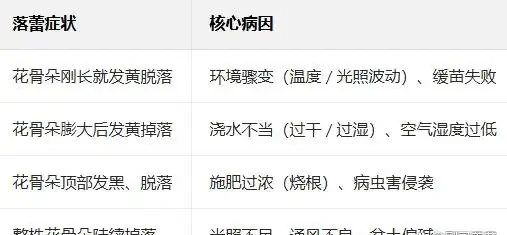 梔子花花骨朵發黃掉落是怎麼回事
