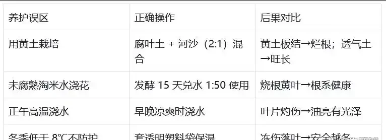 發財樹黃葉怎麼處理?教你急救3步法!7天覆綠