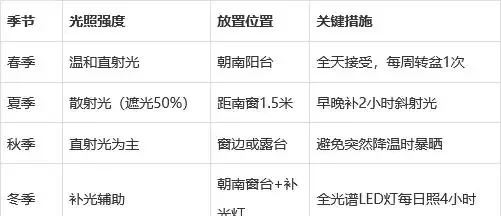 幸福樹徒長別愁!教你3招,株型緊湊,葉片翠綠