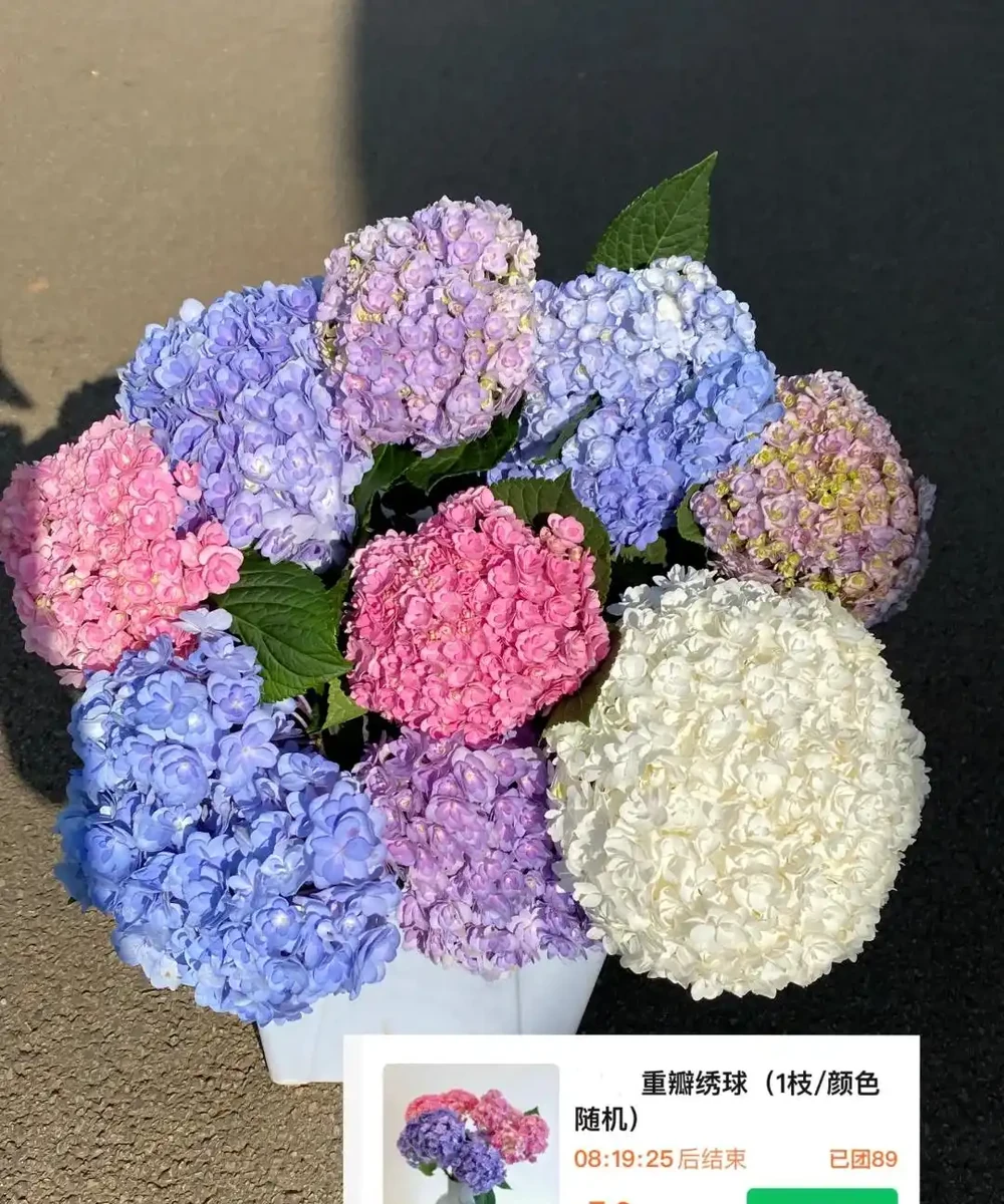 鄰居家花園365天花開不斷,秘密居然是這6種「打不死」的花!