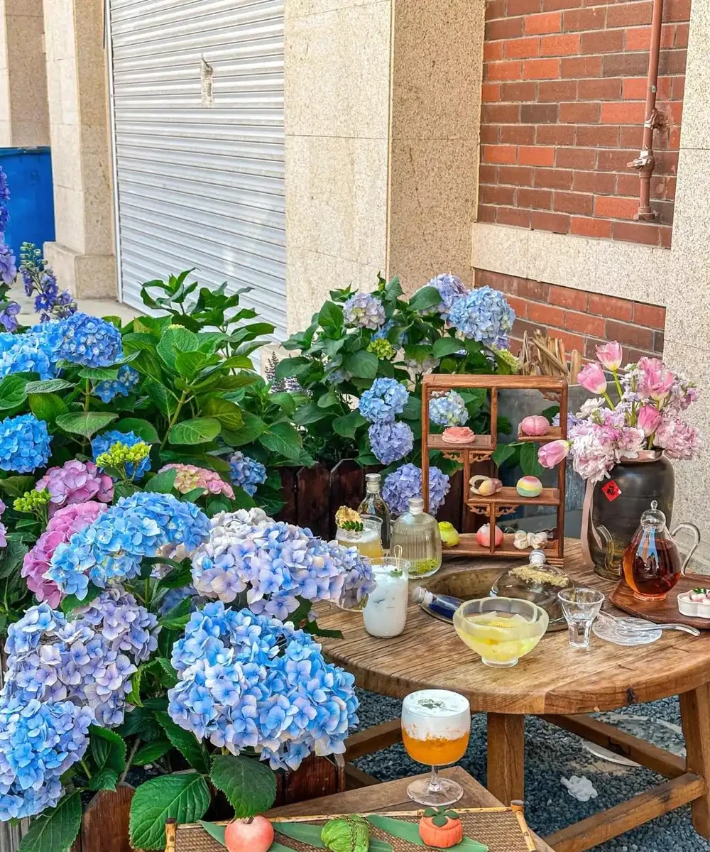 鄰居家花園365天花開不斷,秘密居然是這6種「打不死」的花!