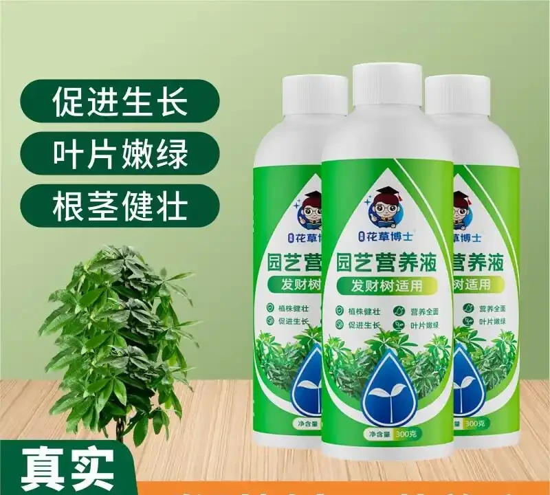 《小小一瓶發財樹專用濃縮營養液，憑啥能讓發財樹起死回生？》