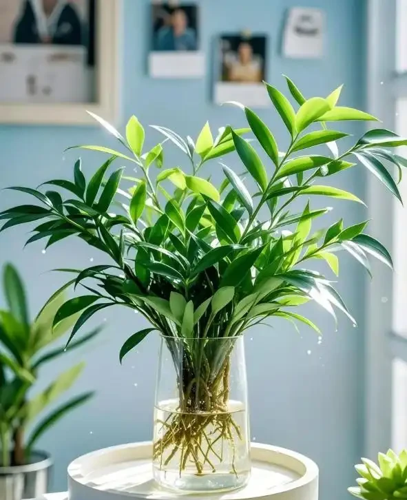 廁所異味剋星(一):10種耐陰溼植物的除臭妙用