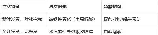 茶花黃葉別扔!教你3招急救法,1周恢復翠綠,還能爆花