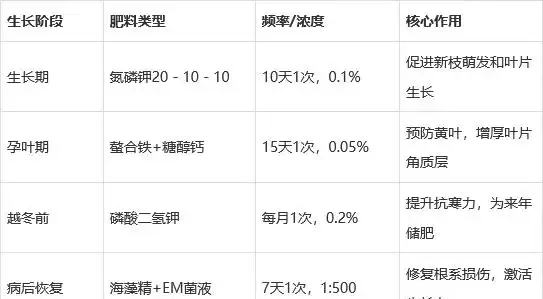 幸福樹不長新枝?4步精準養護,30天冒新芽,葉片翠綠!