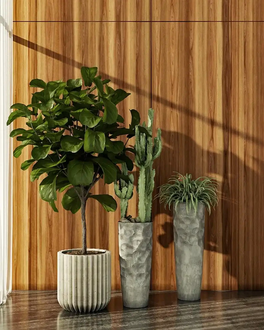 不見陽光的室內適合養什麼植物？8種耐陰綠植清單：不見陽光的室內也能養，5招養出8種耐陰綠植，黃金葛虎尾蘭上榜