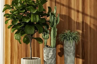 不見陽光的室內適合養什麼植物？8種耐陰綠植清單：不見陽光的室內也能養，5招養出8種耐陰綠植，黃金葛虎尾蘭上榜