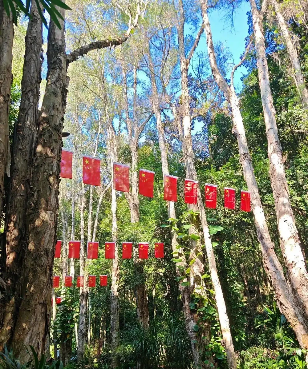 藏不住了,分享近期拍攝好看的花卉圖