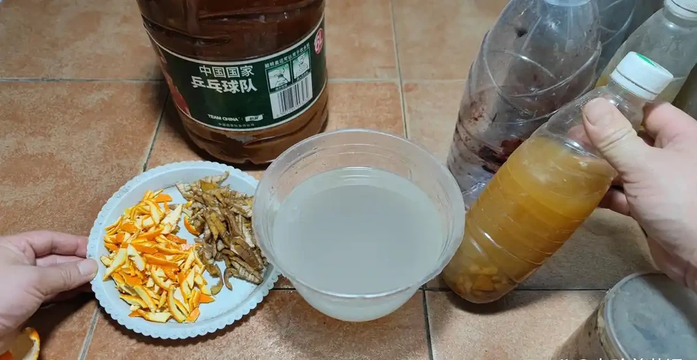 發酵好的淘米水,澆黃金葛、吊蘭,能讓它們瘋狂生長,葉子綠油油