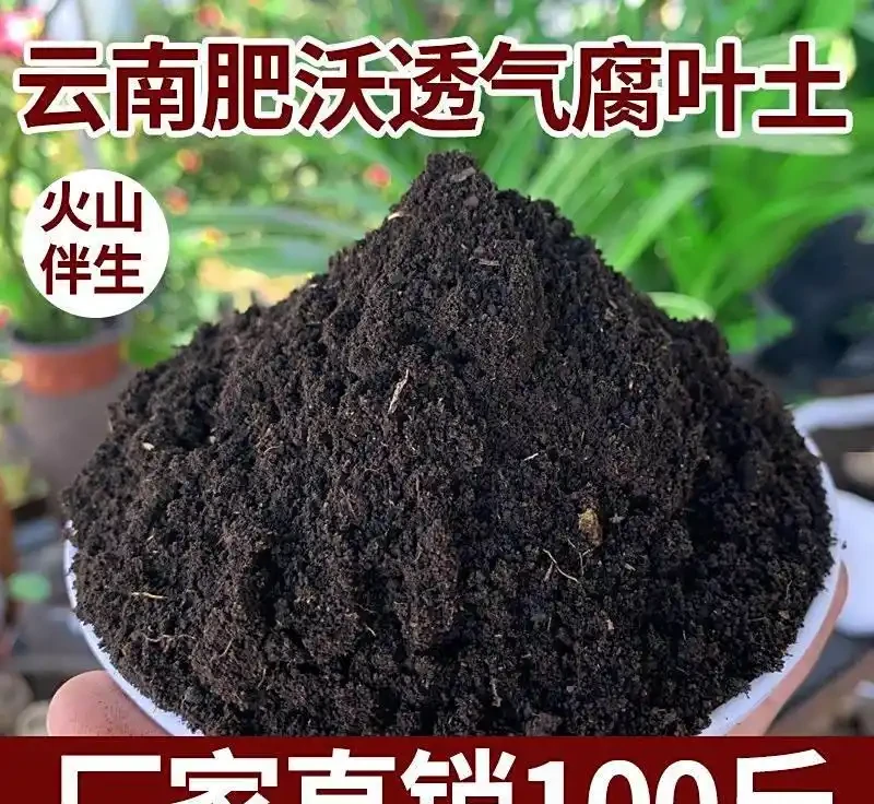 腐葉土