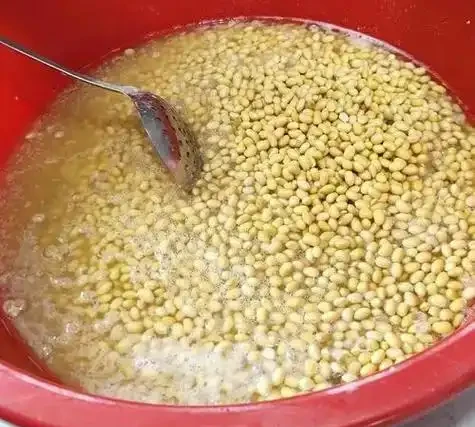 黃金葛最愛的5種「營養液」,15天喂一次,半年下來,葉片油光發亮,瘋長不停!
