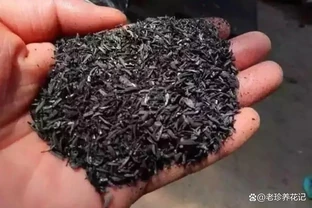 萬能肥「草木灰」，什麼花能用，怎樣用才能達到最好的效果