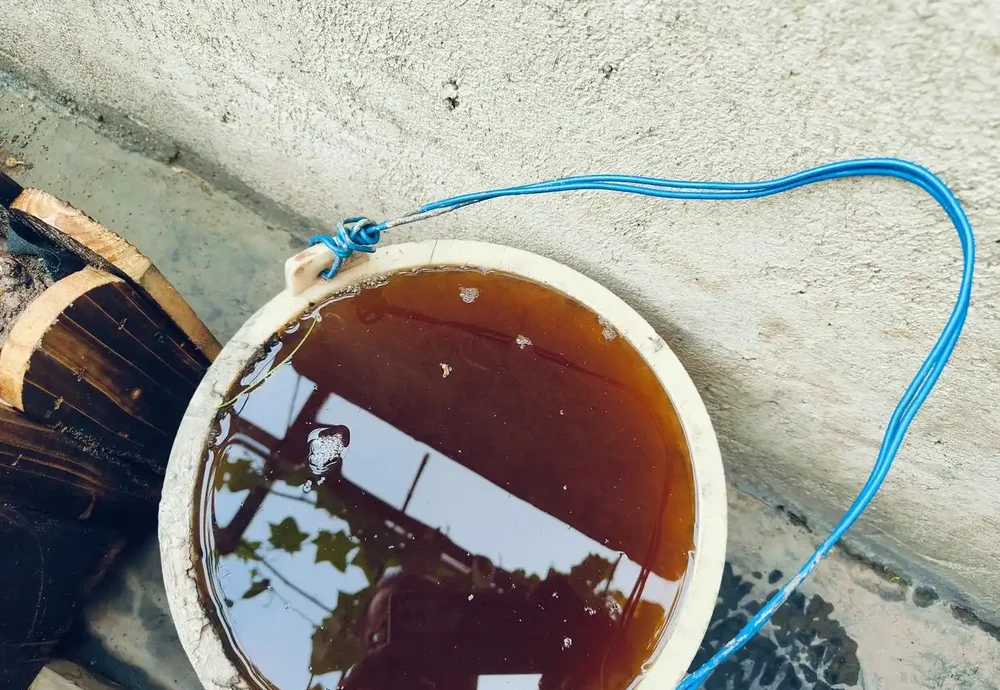 個人種菜,到底用什麼肥料好?看完這篇文章,一切都明白了