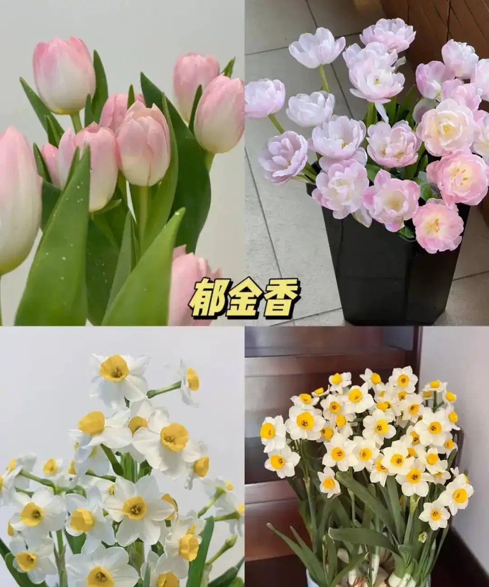 奉勸大家:不要在臥室放「這5樣」東西,難怪睡不好!