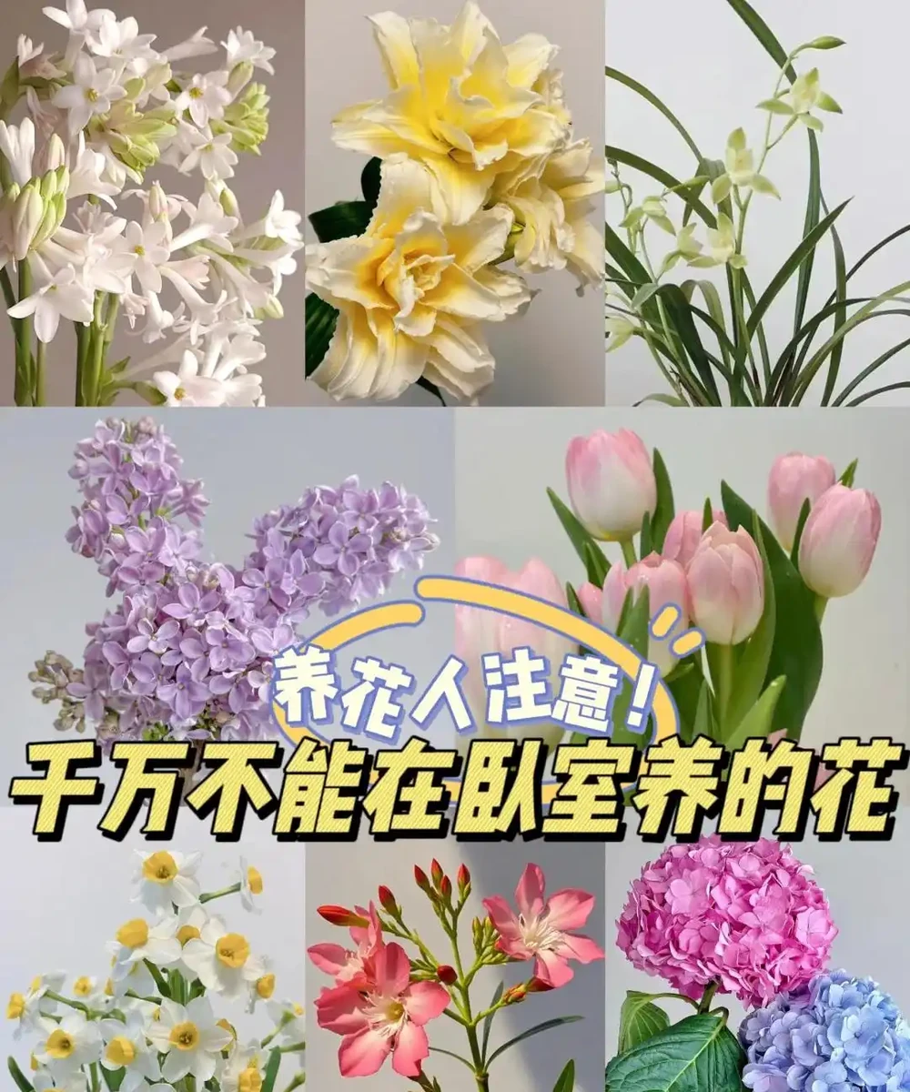 奉勸大家:不要在臥室放「這5樣」東西,難怪睡不好!