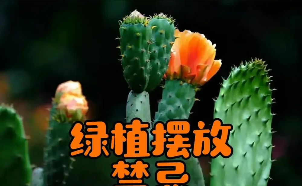 奉勸大家:不要在臥室放「這5樣」東西,難怪睡不好!