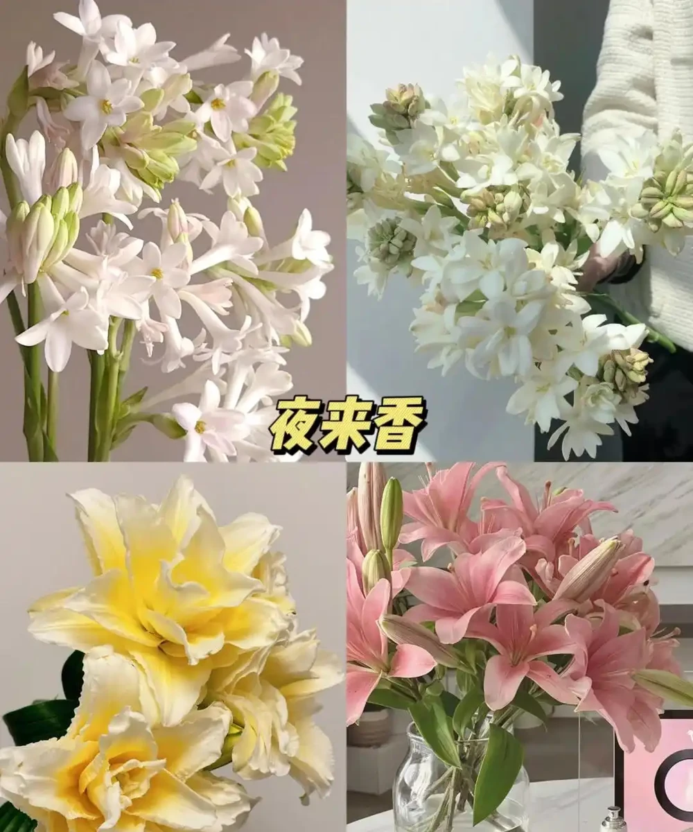 奉勸大家:不要在臥室放「這5樣」東西,難怪睡不好!