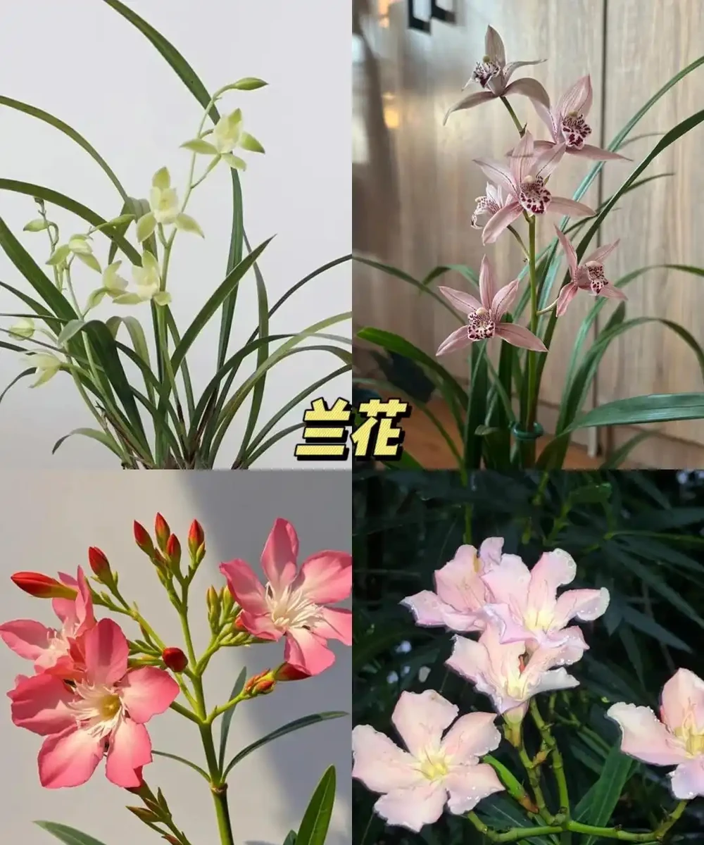 奉勸大家:不要在臥室放「這5樣」東西,難怪睡不好!