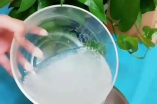 淘米水的正確發酵，這樣使用，才能讓花長得更旺盛，開花更多