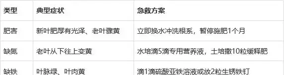 萬年竹動不動就葉子發黃?學會這樣養,葉片翠綠,7天躥芽!