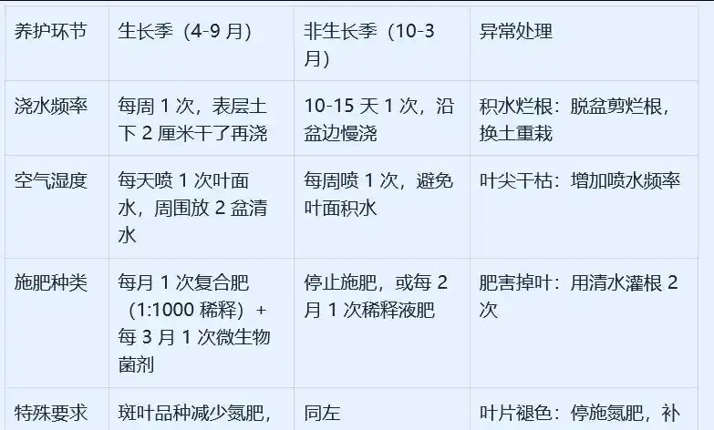 鴨腳木長勢差?學會這樣做,枝葉瘋長,養成小森林!