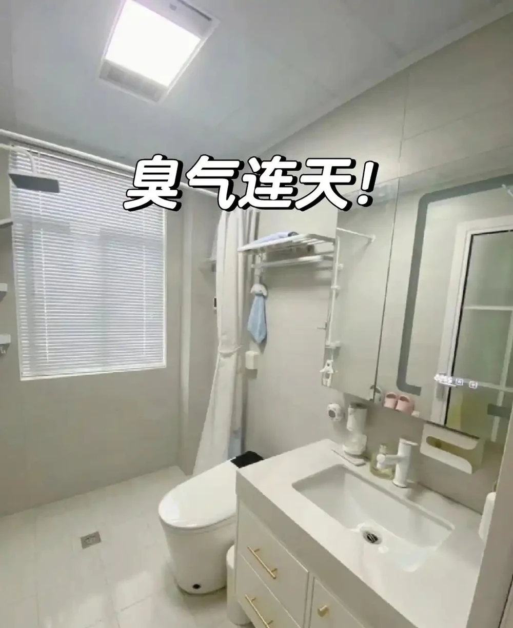 衛生間養上這3種花,臭味異味「全吸光」,好看,用處多!