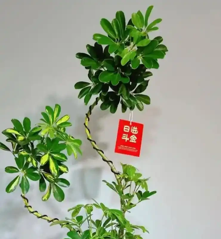 三步閉環